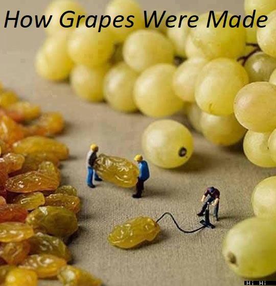 rosinen aufpumpen - How Grapes Were Made