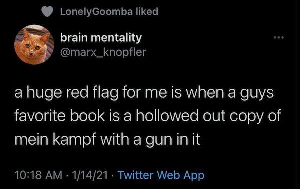 atmosphere - Lonely Goomba d brain mentality a huge red flag for me is when a guys favorite book is a hollowed out copy of mein Kampf with a gun in it 11421 Twitter Web App