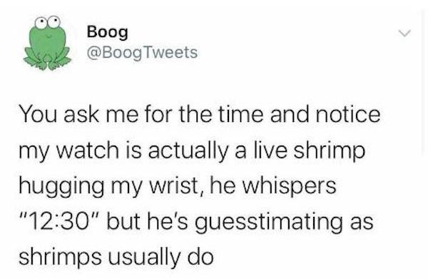 paper - Boog Tweets You ask me for the time and notice my watch is actually a live shrimp hugging my wrist, he whispers "" but he's guesstimating as shrimps usually do