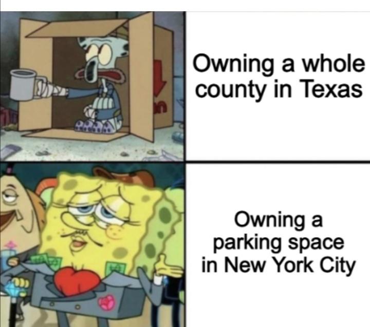 animal crossing new horizons memes - ? Owning a whole county in Texas Owning a parking space in New York City