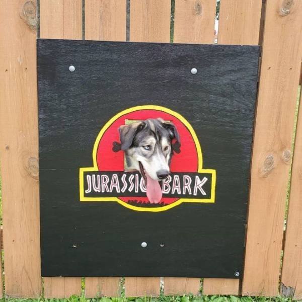 dog looking through fence holes - Jurassic Bark