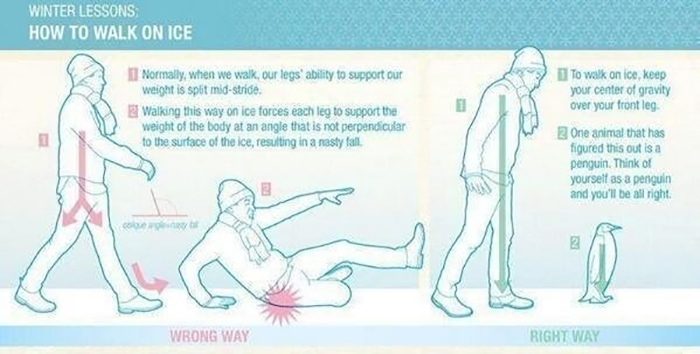 walk on ice - Winter Lessons How To Walk On Ice Normally, when we walk, our legs' ability to support our weight is split midstride. El Walking this way on ice forces each leg to support the weight of the body at an angle that is not perpendicular to the s
