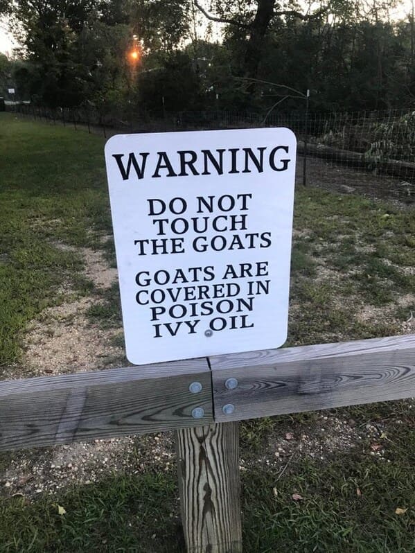 ominous signs - Warning Do Not Touch The Goats Goats Are Covered In Poison Ivy Oil