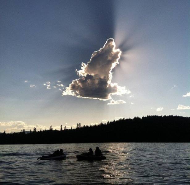 dog shaped clouds