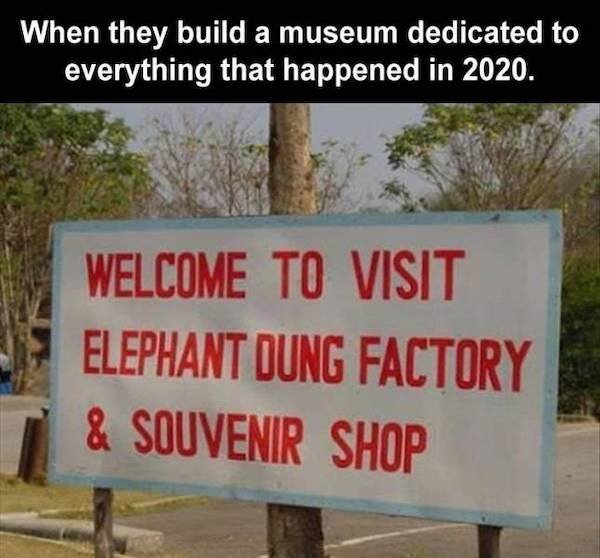 tree - When they build a museum dedicated to everything that happened in 2020. Welcome To Visit Elephant Dung Factory & Souvenir Shop