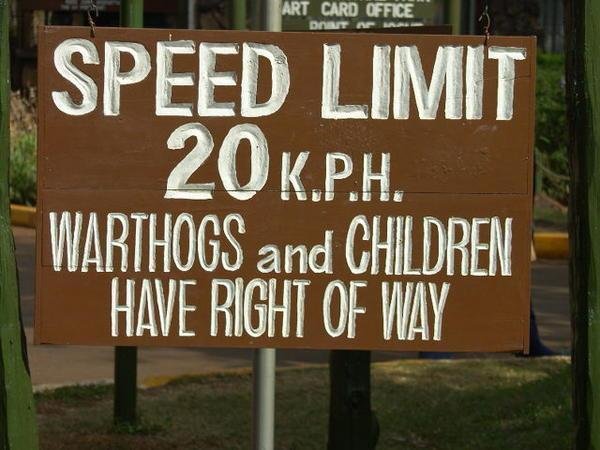 funny road signs - Art Card Office Dort Aan Speed Limit 20K.P.H. Warthogs and Children Have Right Of Way