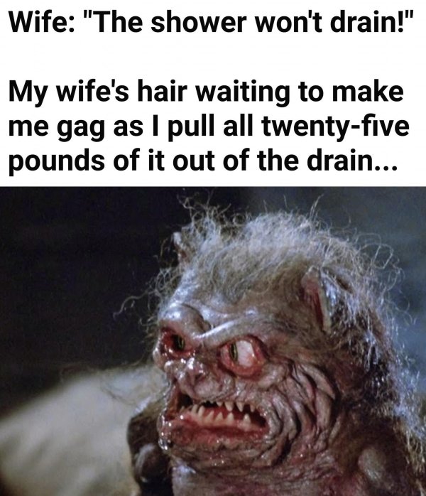 my wife's hair in the drain meme - Wife "The shower won't drain!" My wife's hair waiting to make me gag as I pull all twentyfive pounds of it out of the drain...