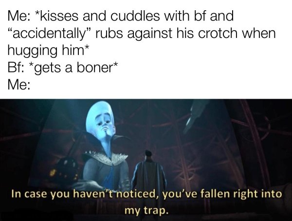 presentation - Me kisses and cuddles with bf and "accidentally" rubs against his crotch when hugging him Bf gets a boner Me In case you haven't noticed, you've fallen right into my trap.