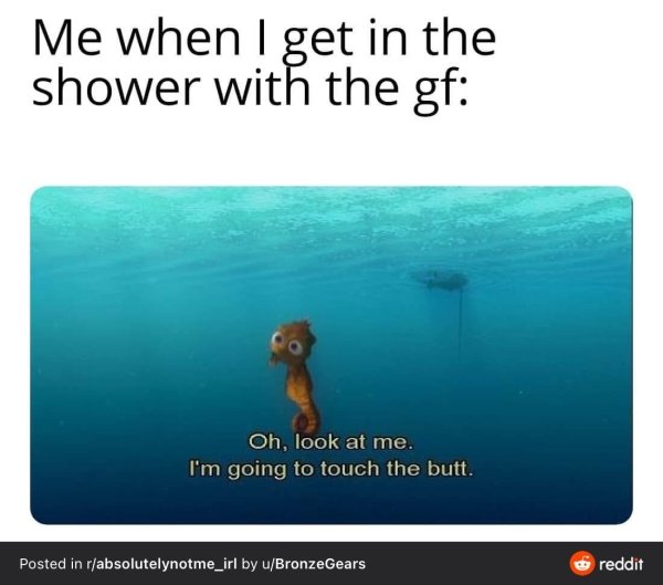 finding nemo the butt - Me when I get in the shower with the gf Oh, look at me. I'm going to touch the butt. Posted in rabsolutelynotme_irl by uBronzeGears reddit