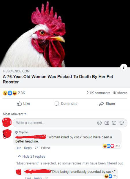 beak - Iflscience.Com A 76YearOld Woman Was Pecked To Death By Her Pet Rooster 216 1K Comment Most relevant Write a comment. Gif Top fan Woman killed by cock" would have been a better headline 7h Edited Do 313 Hide 21 replies "Most relevant" is selected, 