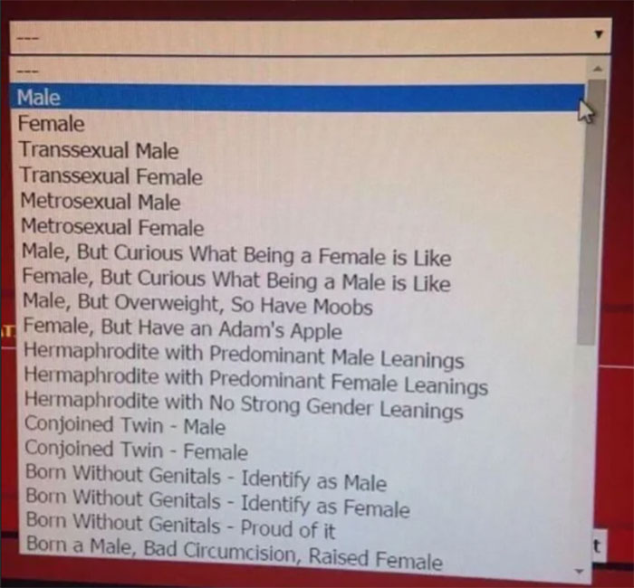 funny jokes - Male Female Transsexual Male Transsexual Female Metrosexual Male Metrosexual Female Male, But Curious What Being a Female is Female, But Curious What Being a Male is Male, But Overweight, So Have Moobs Female, But Have an Adam's Apple Hermap