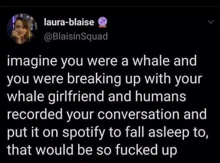 funny jokes - imagine you were a whale and you were breaking up with your whale girlfriend and humans recorded your conversation and put it on spotify to fall asleep to, that would be so fucked up