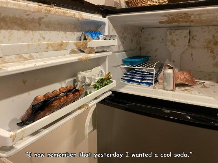 kitchen appliance - "I now remember that yesterday I wanted a cool soda."