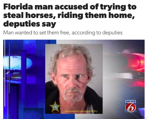 presentation - Florida man accused of trying to steal horses, riding them home, deputies say Man wanted to set them free, according to deputies News 6 Photo owned by Lake County Sq Fl