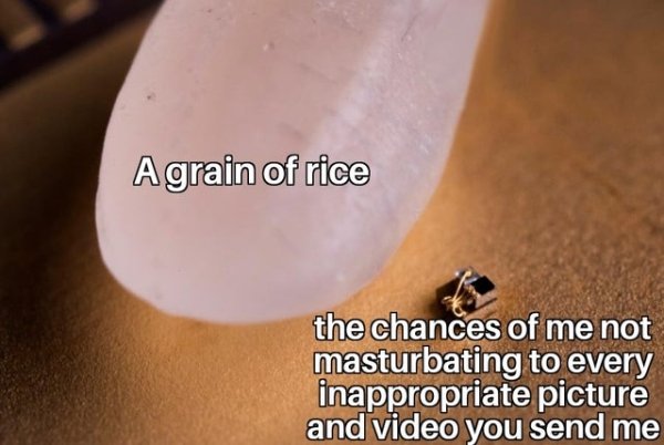 dmr nerf memes - Agrain of rice the chances of me not masturbating to every inappropriate picture and video you send me
