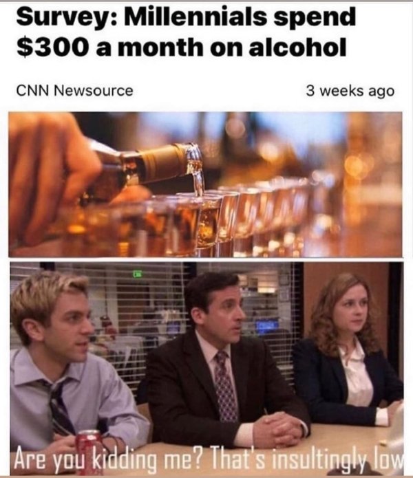 that's insultingly low meme - Survey Millennials spend $300 a month on alcohol Cnn Newsource 3 weeks ago Are you kidding me? That's insultingly low