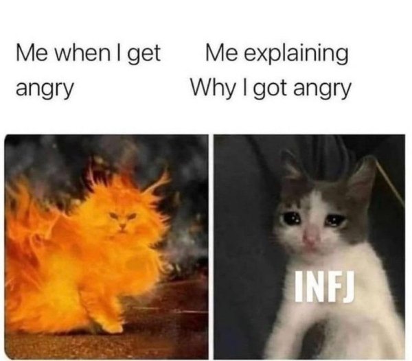 me when i get angry me explaining - Me when I get angry Me explaining Why I got angry Infj