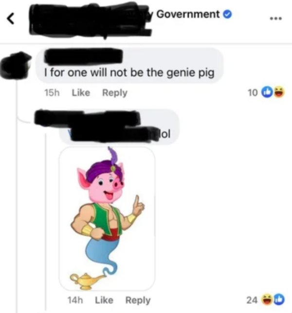 cartoon - Government I for one will not be the genie pig 15h 10 lol 14h 24 0