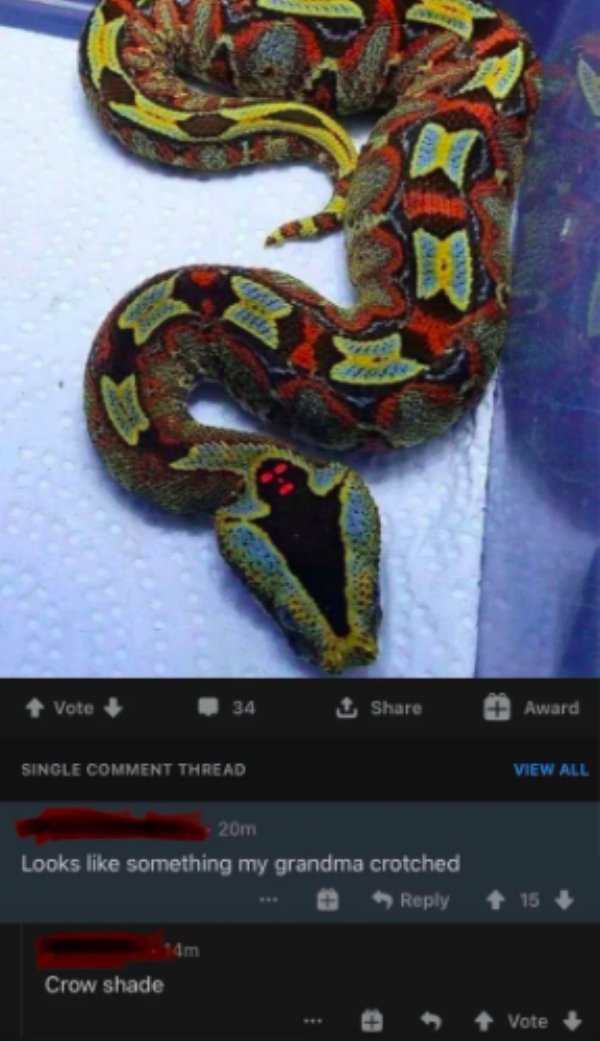 bitis viper - Vote 34 Award Single Comment Thread View All 20m Looks something my grandma crotched 15 4m Crow shade Vote