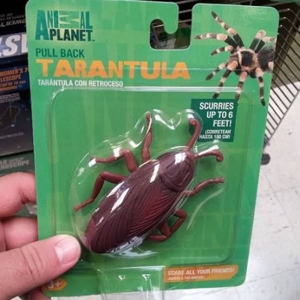 worst you had one job fails - Luba An .Si AneAl Planet. Pull Back Tarantula Tarantula Con Retroceso Nonser'S Lescope Scurries Up To 6 Feet! Corretean Hasta 180 Cm Scare All Your Friends