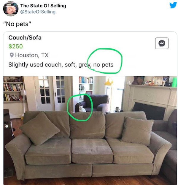 funny couch meme - The State Of Selling "No pets" CouchSofa $250 Houston, Tx Slightly used couch, soft, grey, no pets