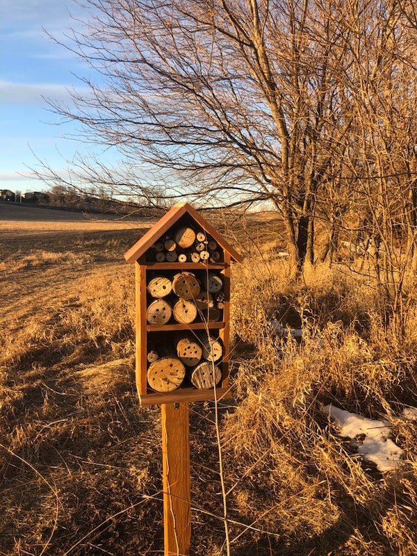 This roofed storage component full of sliced logs in the middle of a prairie preserve in Nebraska.

A: Looks like an insect house to me.