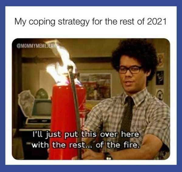 funny 2021 memes - My coping strategy for the rest of 2021 - I'll just put this over here with the rest... of the fire.