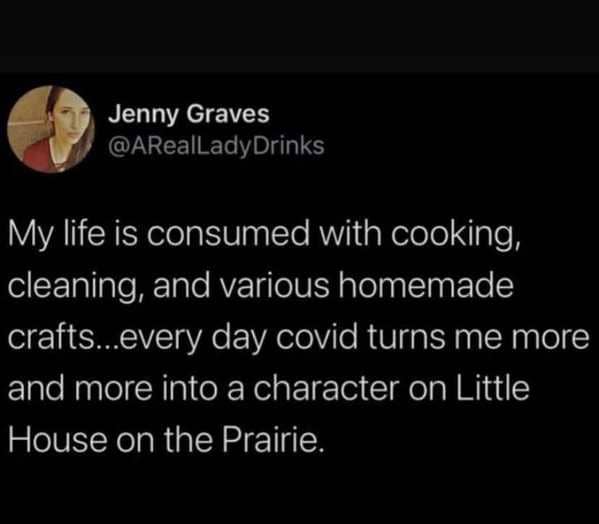 funny 2021 memes - My life is consumed with cooking, cleaning, and various homemade crafts...every day covid turns me more and more into a character on Little House on the Prairie.