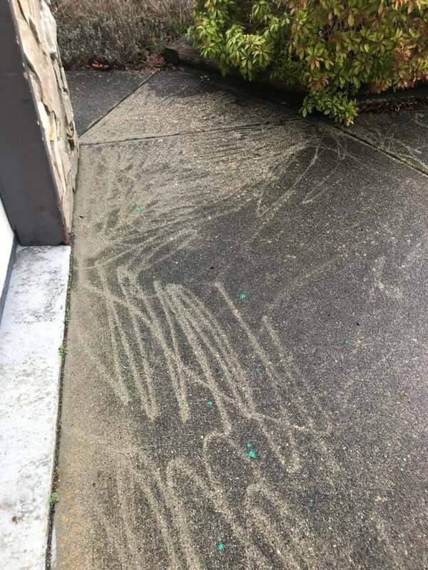 Hiring a power washer guy.