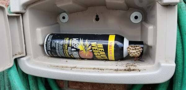 Literally wasps building a nest in some wasp spray.