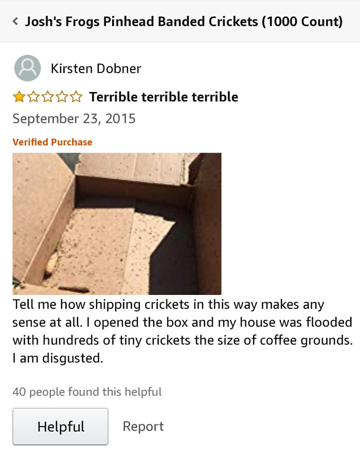 funny amazon reviews - tell me how shipping crickets in this way makes any sense at all. I opened the box and my house was flooded with hundreds of tiny crickets