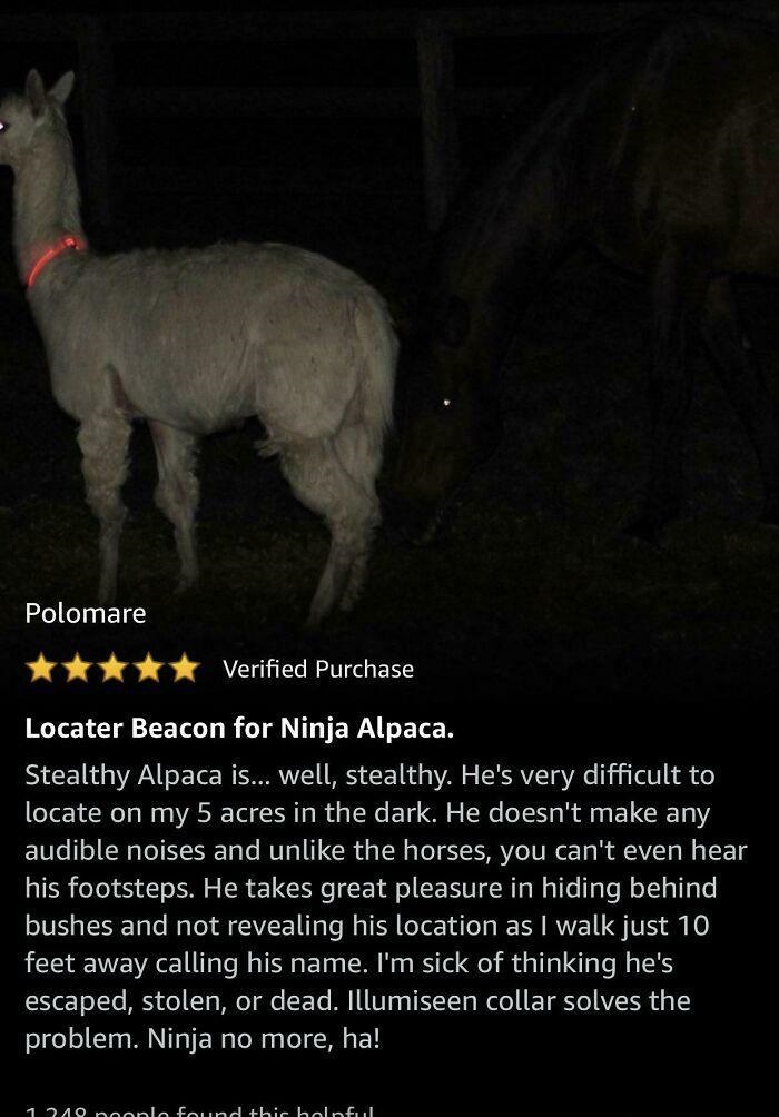 funny amazon reviews - Locater Beacon for Ninja Alpaca. Stealthy Alpaca is... well, stealthy. He's very difficult to locate on my 5 acres in the dark. He doesn't make any audible noises and un the horses, you can't even hear his footsteps. He