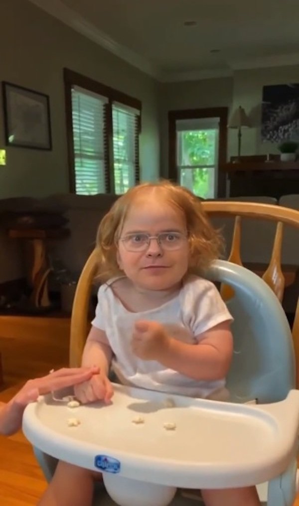 funny memes - toddler replaced with dwight schrute's face