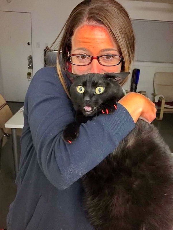 funny memes - orange tan woman holding scared black cat