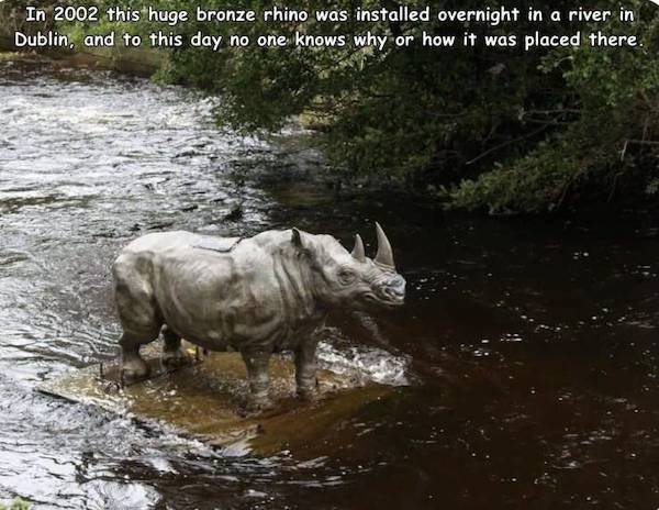 funny memes - In 2002 this huge bronze rhino was installed overnight in a river in Dublin, and to this day no one knows why or how it was placed there.