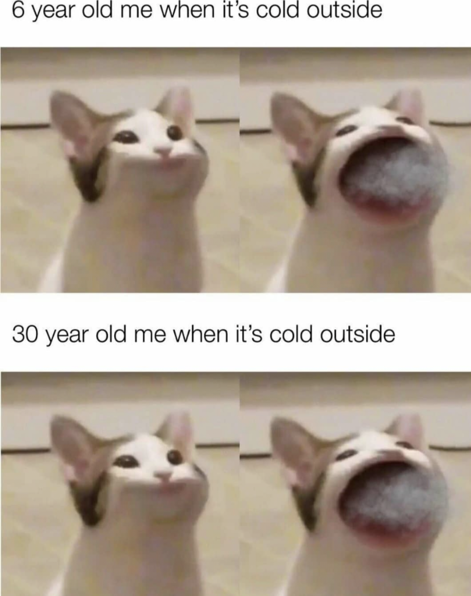 funny memes - wide mouth cat meme - 6 year old me when it's cold outside 30 year old me when it's cold outside