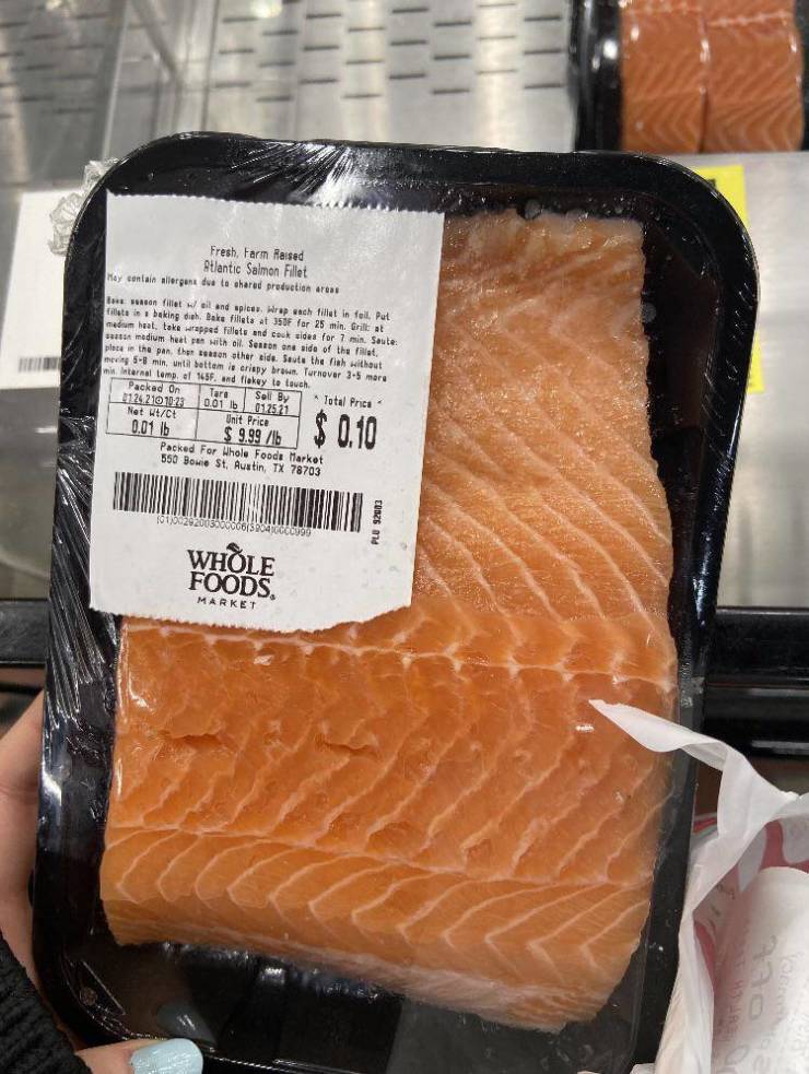 cool pics - really cheap salmon