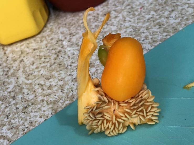cool pics - orange bell pepper seeds look like snail