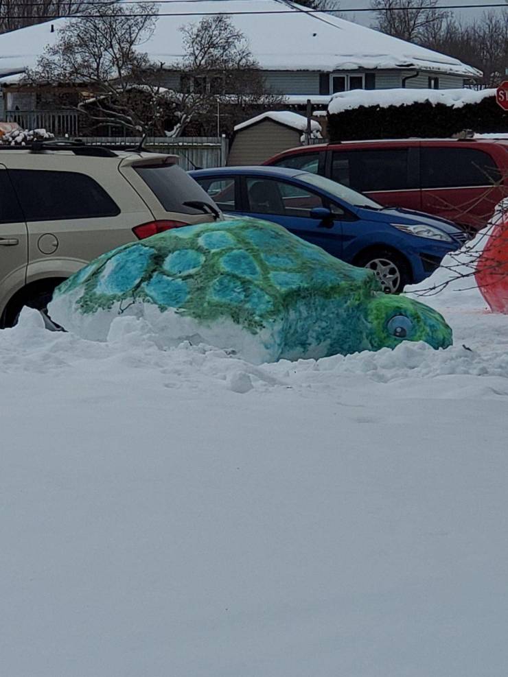 cool pics - turtle snow art sculpture