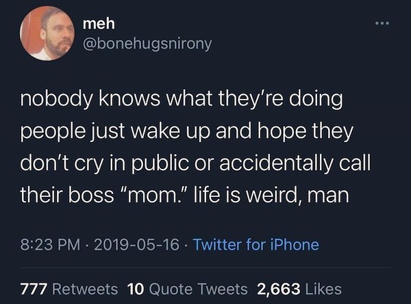 funny tweets - nobody knows what they're doing people just wake up and hope they don't cry in public or accidentally call their boss mom