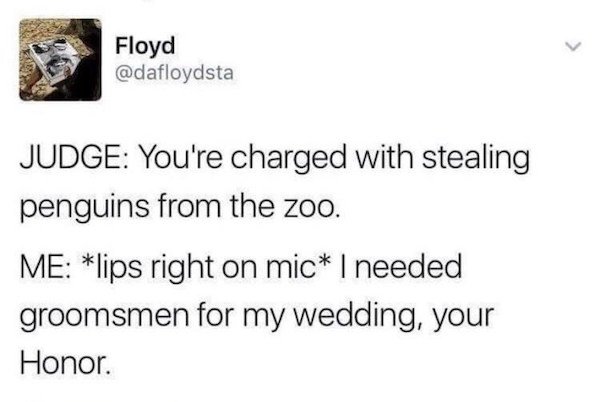 funny tweets - Judge You're charged with stealing penguins from the zoo. Me lips right on mic I needed groomsmen for my wedding, your Honor.