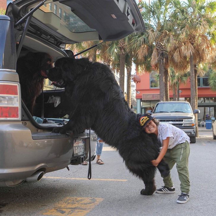 “I think I need a bigger car.”