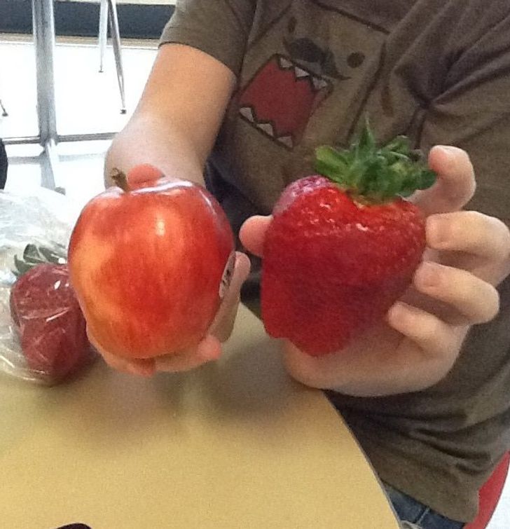 “My friend had a strawberry that was the size of an apple.”