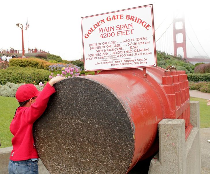 “Cross-section of Golden Gate Bridge suspension cable”