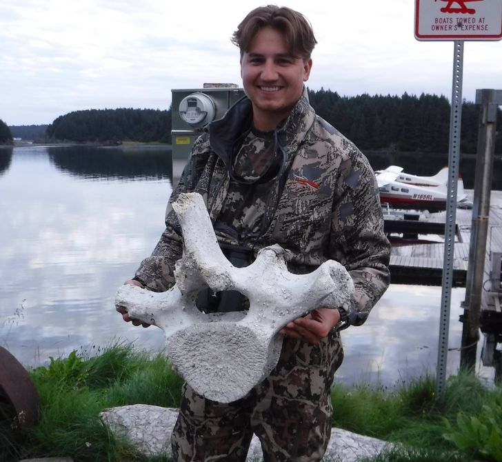 This is the size of only one whale vertebra, now imagine how big they are.