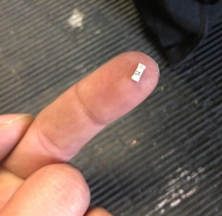 "Removing this tiny little 2 amp fuse will completely put a 30-story elevator out of service.”