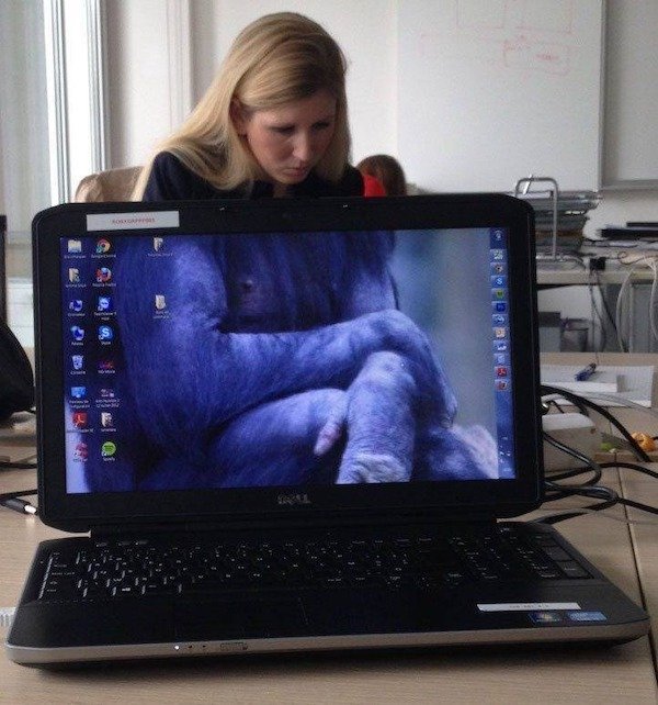 funny memes - funny woman sitting behind laptop screen with picture of orangutan on it