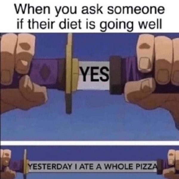 funny memes - When you ask someone if their diet is going well Yes Yesterday I Ate A Whole Pizza