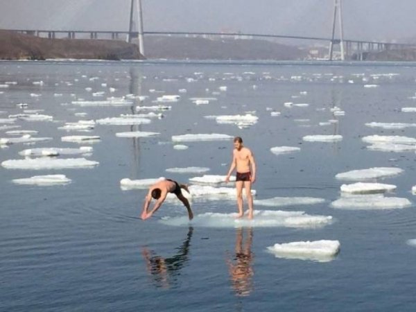 funny memes - guys diving into ice cold water off glaciers