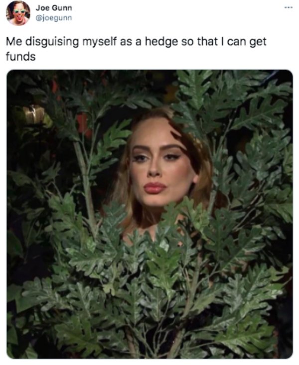 adele in the bushes - Joe Gunn Me disguising myself as a hedge so that I can get funds